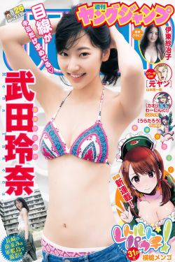 私藏浪漫一共多少集
